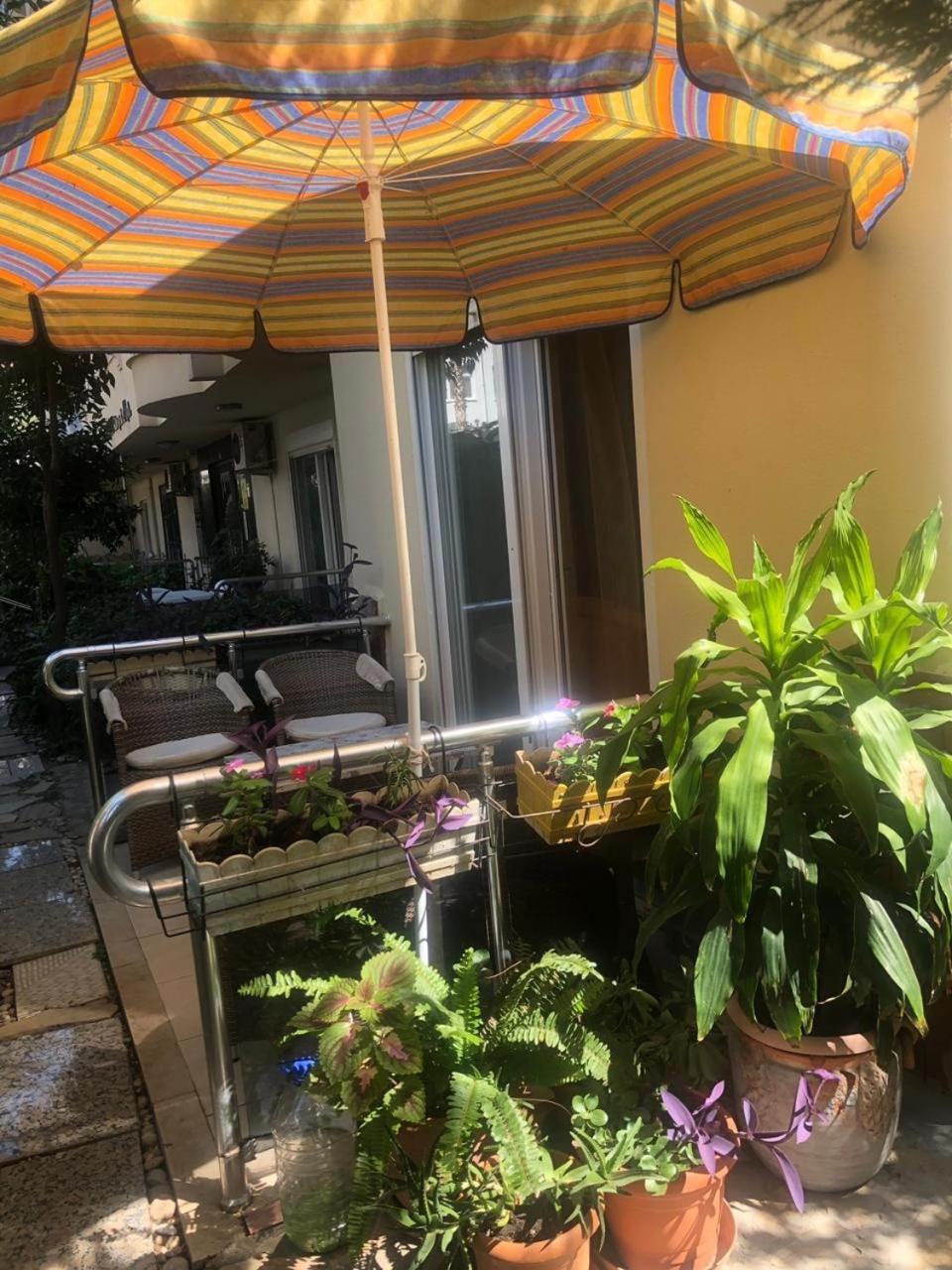 Emniyet Sokak Apartment 알란야 외부 사진